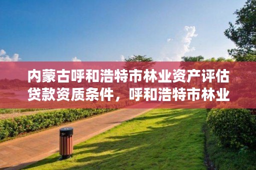 内蒙古呼和浩特市林业资产评估贷款资质条件,呼和浩特市林业厅