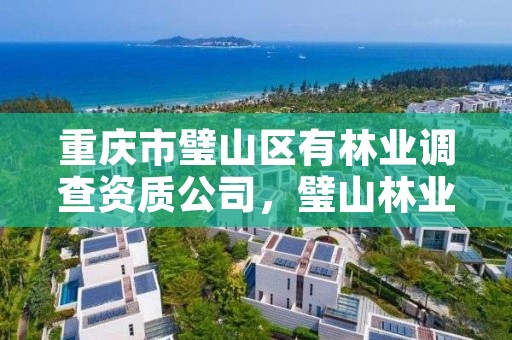 重庆市璧山区有林业调查资质公司,璧山林业局班子成员