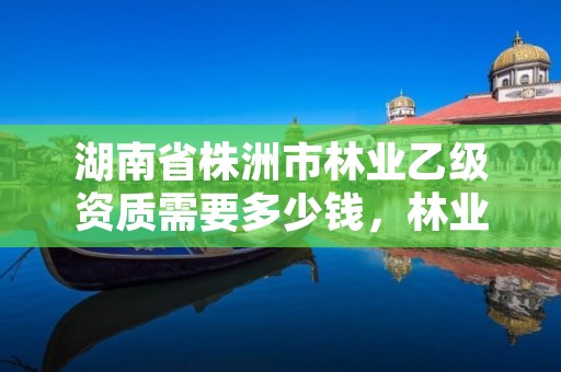 湖南省株洲市林业乙级资质需要多少钱,林业乙级资质转让