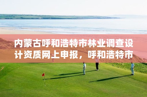 内蒙古呼和浩特市林业调查设计资质网上申报,呼和浩特市林业厅