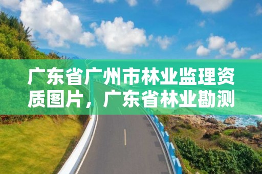 广东省广州市林业监理资质图片,广东省林业勘测设计院