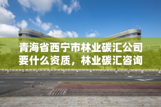 青海省西宁市林业碳汇公司要什么资质，林业碳汇咨询公司