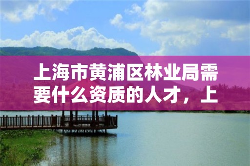 上海市黄浦区林业局需要什么资质的人才,上海市黄浦区林业局需要什么资质的人才才能进