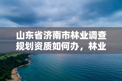 山东省济南市林业调查规划资质如何办,林业调查规划乙级资质有哪些