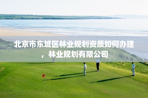 北京市东城区林业规划资质如何办理，林业规划有限公司