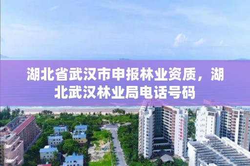 湖北省武汉市申报林业资质,湖北武汉林业局电话号码