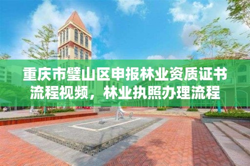 重庆市璧山区申报林业资质证书流程视频,林业执照办理流程
