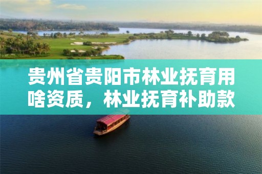 贵州省贵阳市林业抚育用啥资质,林业抚育补助款