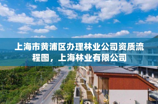 上海市黄浦区办理林业公司资质流程图,上海林业有限公司