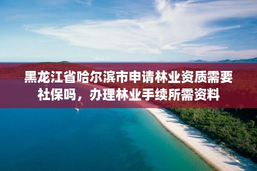 黑龙江省哈尔滨市申请林业资质需要社保吗,办理林业手续所需资料