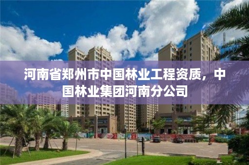 河南省郑州市中国林业工程资质,中国林业集团河南分公司