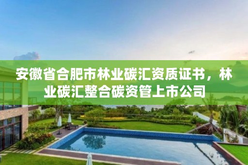 安徽省合肥市林业碳汇资质证书，林业碳汇整合碳资管上市公司