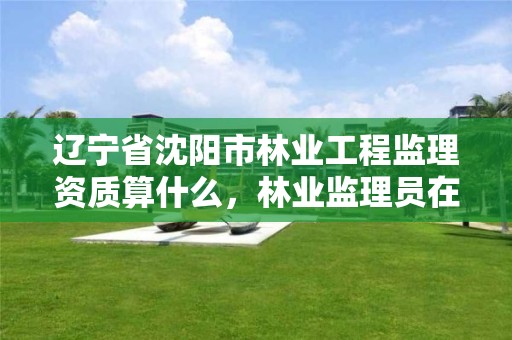 辽宁省沈阳市林业工程监理资质算什么,林业监理员在哪里考