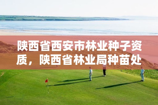 陕西省西安市林业种子资质，陕西省林业局种苗处