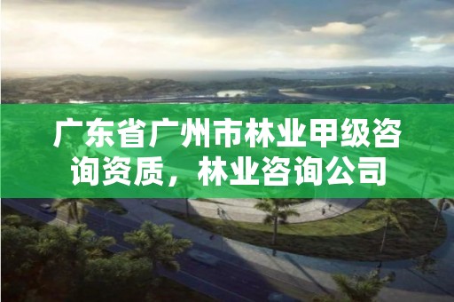 广东省广州市林业甲级咨询资质,林业咨询公司