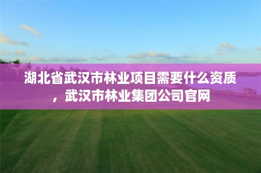 湖北省武汉市林业项目需要什么资质,武汉市林业集团公司官网