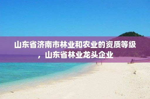 山东省济南市林业和农业的资质等级，山东省林业龙头企业