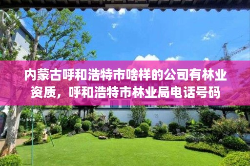 内蒙古呼和浩特市啥样的公司有林业资质,呼和浩特市林业局电话号码