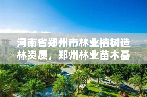 河南省郑州市林业植树造林资质,郑州林业苗木基地