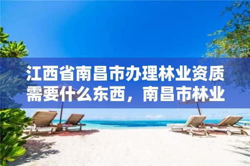 江西省南昌市办理林业资质需要什么东西,南昌市林业服务中心