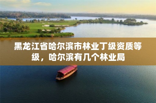 黑龙江省哈尔滨市林业丁级资质等级,哈尔滨有几个林业局