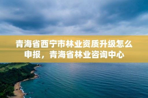 青海省西宁市林业资质升级怎么申报，青海省林业咨询中心