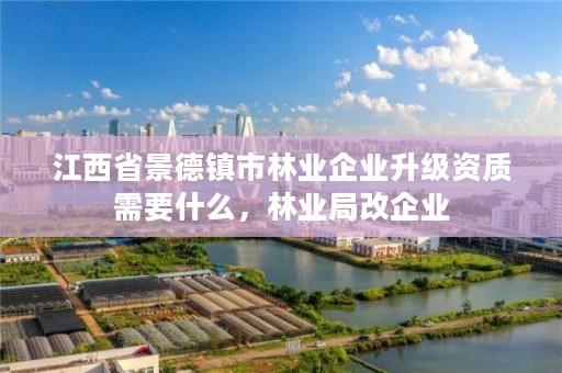 江西省景德镇市林业企业升级资质需要什么,林业局改企业