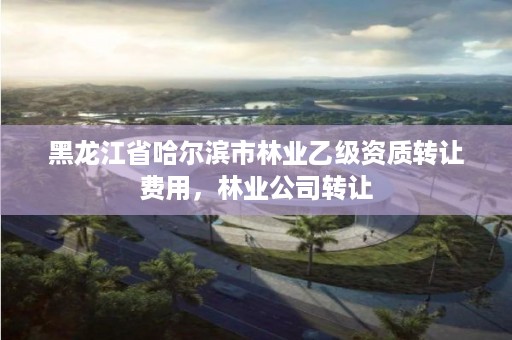 黑龙江省哈尔滨市林业乙级资质转让费用,林业公司转让