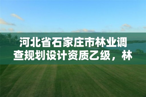 河北省石家庄市林业调查规划设计资质乙级,林业调查规划设计甲级资质
