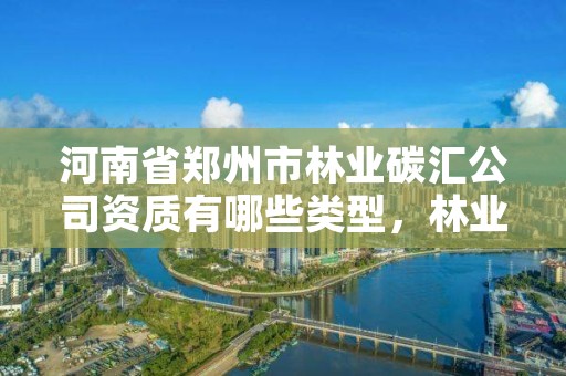 河南省郑州市林业碳汇公司资质有哪些类型,林业碳汇资源项目开发的公司