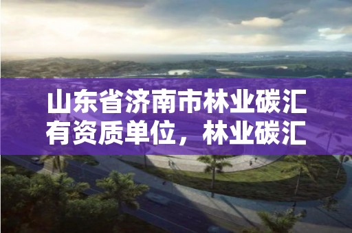 山东省济南市林业碳汇有资质单位,林业碳汇公司有哪几家