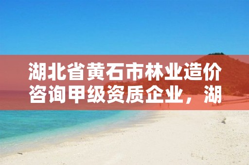 湖北省黄石市林业造价咨询甲级资质企业,湖北省黄石市林业造价咨询甲级资质企业有哪些