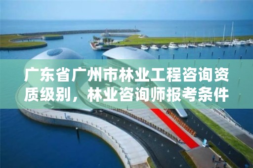 广东省广州市林业工程咨询资质级别,林业咨询师报考条件