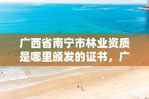 广西省南宁市林业资质是哪里颁发的证书,广西省南宁市林业资质是哪里颁发的证书