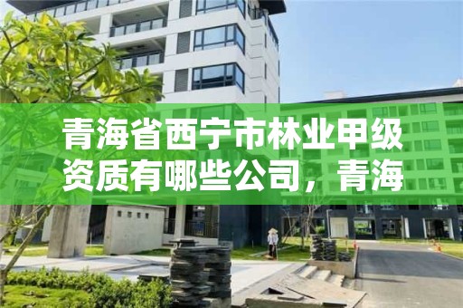 青海省西宁市林业甲级资质有哪些公司，青海省西宁市林业甲级资质有哪些公司