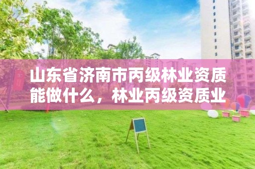 山东省济南市丙级林业资质能做什么,林业丙级资质业务范围