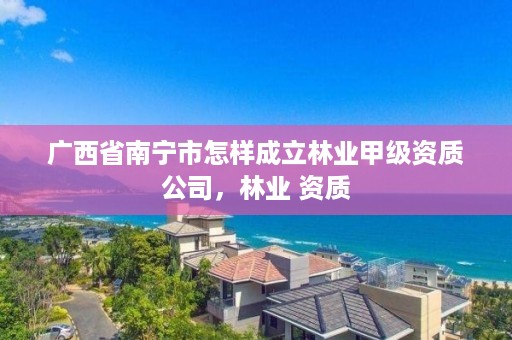 广西省南宁市怎样成立林业甲级资质公司,林业 资质