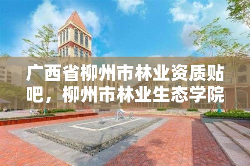 广西省柳州市林业资质贴吧,柳州市林业生态学院