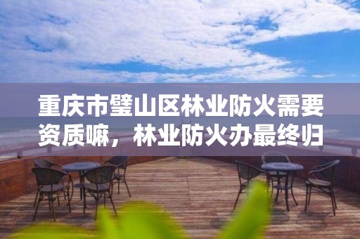 重庆市璧山区林业防火需要资质嘛,林业防火办最终归哪儿