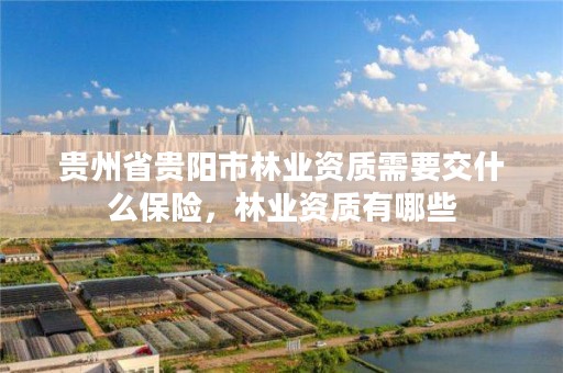 贵州省贵阳市林业资质需要交什么保险,林业资质有哪些