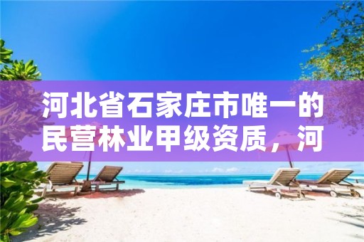河北省石家庄市唯一的民营林业甲级资质,河北省石家庄市唯一的民营林业甲级资质企业