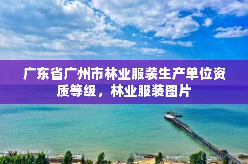 广东省广州市林业服装生产单位资质等级，林业服装图片