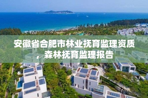 安徽省合肥市林业抚育监理资质,森林抚育监理报告