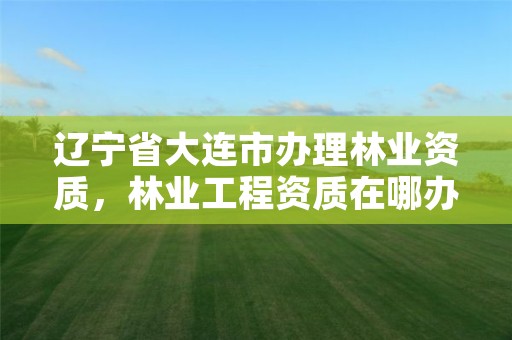 辽宁省大连市办理林业资质,林业工程资质在哪办
