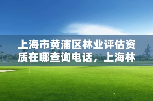 上海市黄浦区林业评估资质在哪查询电话，上海林业部门电话