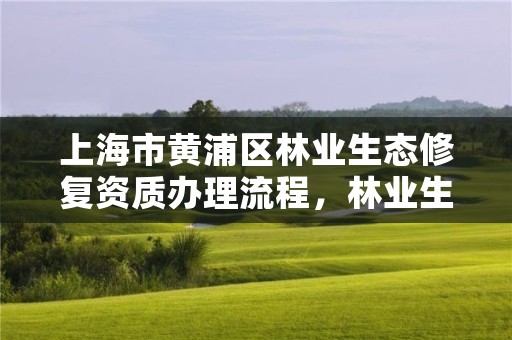 上海市黄浦区林业生态修复资质办理流程，林业生态修复工程