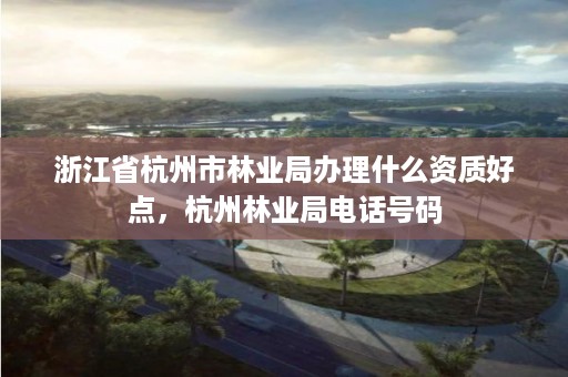 浙江省杭州市林业局办理什么资质好点,杭州林业局电话号码