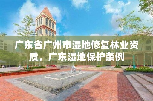 广东省广州市湿地修复林业资质,广东湿地保护条例