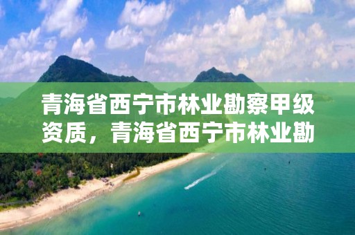 青海省西宁市林业勘察甲级资质，青海省西宁市林业勘察甲级资质企业名单