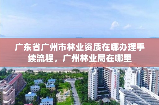 广东省广州市林业资质在哪办理手续流程，广州林业局在哪里